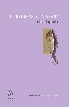 Claire Legendre El nenúfar y la araña обложка книги