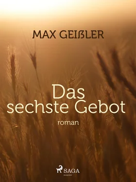 Max Geißler Das sechste Gebot обложка книги