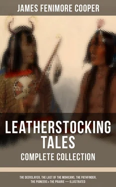 James Cooper LEATHERSTOCKING TALES – Complete Collection обложка книги