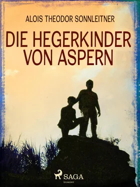 Alois Theodor Sonnleitner Die Hegerkinder von Aspern обложка книги
