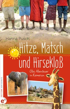 Hanna Pusch Hitze, Matsch und Hirsekloß обложка книги