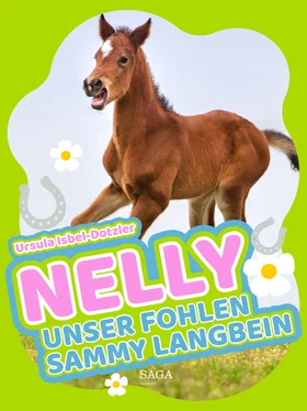Ursula Isbel-Dotzler Nelly - Unser Fohlen Sammy Langbein обложка книги