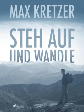 Max Kretzer Steh auf und wandle обложка книги