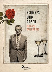 Theodor Kallifatides - Schnaps und Rosen