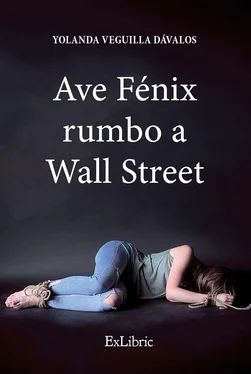Yolanda Veguilla Dávalos Ave Fénix rumbo a Wall Street обложка книги