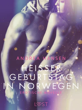 Andrea Hansen Heißer Geburtstag in Norwegen: Erotische Novelle обложка книги