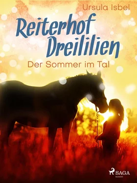 Ursula Isbel Reiterhof Dreililien 4 - Der Sommer im Tal обложка книги