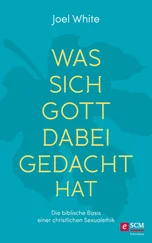 Joel White - Was sich Gott dabei gedacht hat