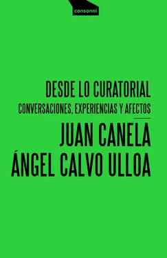 Ángel Calvo Ulloa Desde lo curatorial обложка книги