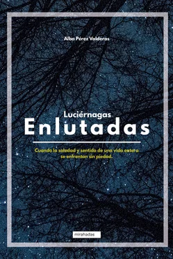 Alba Pérez Valderas Luciérnagas enlutadas обложка книги