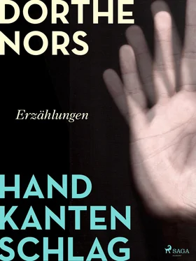Dorthe Nors Handkantenschlag обложка книги