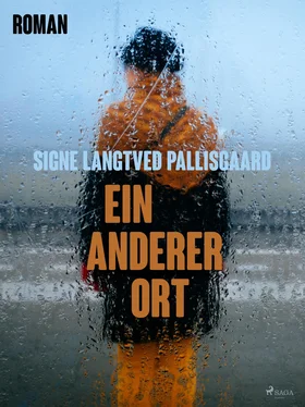 Signe Langtved Pallisgaard Ein anderer Ort обложка книги