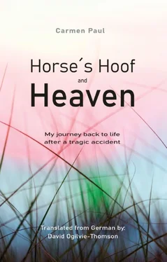 Carmen Paul Horse´s Hoof and Heaven обложка книги