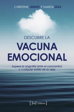Christine Lebriez Descubre la vacuna emocional обложка книги
