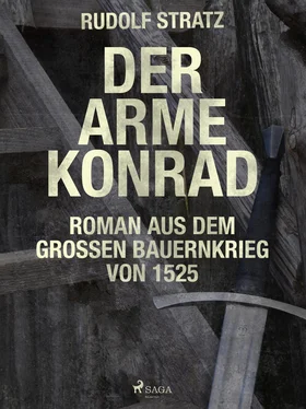 Rudolf Stratz Der arme Konrad. Roman aus dem großen Bauernkrieg von 1525 обложка книги