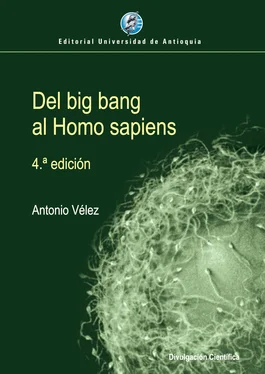 Antonio Vélez Del big bang al Homo sapiens обложка книги