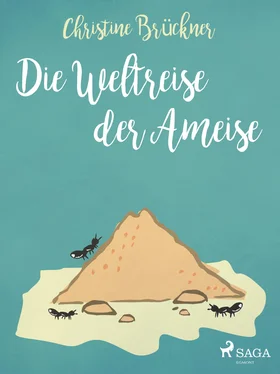 Christine Brückner Die Weltreise der Ameise обложка книги