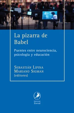 Mariano Sigman La pizarra de Babel обложка книги