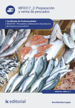 Ana Benítez Luque Preparación y venta de pescados. INAJ0109 обложка книги