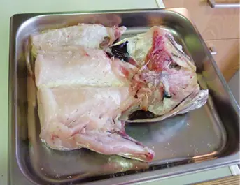 Cogote de merluza Filete Tajada de pescado obtenida mediante cortes paralelos - фото 98