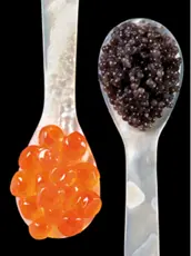 Pez esturión y diferentes tipos de caviar respectivamente Sucedáneos de - фото 12