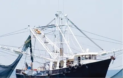 Pesca marítima Actividades 1Poner un ejemplo de una especie de pez marino - фото 2
