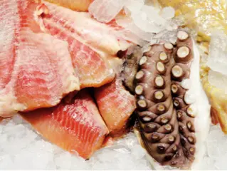 Productos del mar refrigerados Congelación Acción del frío hasta lograr en el - фото 71