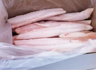 Rodajas de merluza y filete de rosada sin cabeza congelados Salado o curado - фото 73