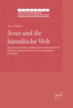 Jan-A. Bühner Jesus und die himmlische Welt обложка книги