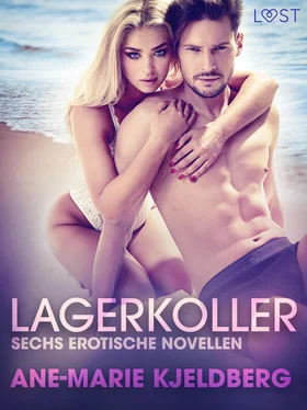 Ane-Marie Kjeldberg Lagerkoller: Sechs erotische Novellen обложка книги