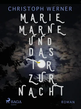 Christoph Werner Marie Marne und das Tor zur Nacht обложка книги