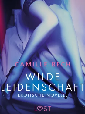 Camille Bech Wilde Leidenschaft - Erotische Novelle обложка книги