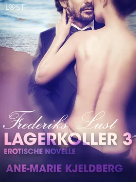 Ane-Marie Kjeldberg Lagerkoller 3 - Frederiks Lust: Erotische Novelle обложка книги