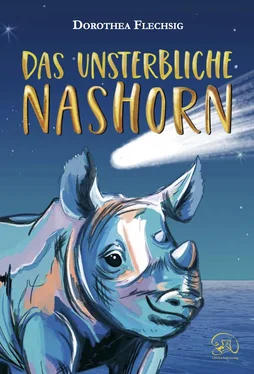 Dorothea Flechsig Das unsterbliche Nashorn обложка книги