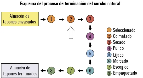 Actividades 1Compare un tapón de corcho natural sin colmatar con un tapón de - фото 1