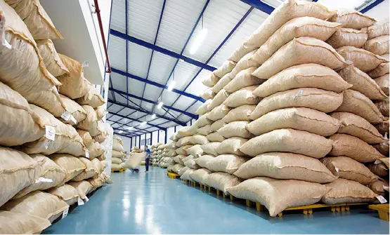 Interior de una fábrica de terminación de tapones de corcho En el caso de los - фото 30