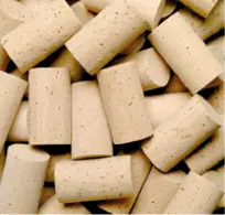 Tapones colmatados Una vez finalizado el proceso los tapones que lo requieran - фото 4