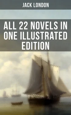 Jack London Jack London: All 22 Novels in One Illustrated Edition обложка книги