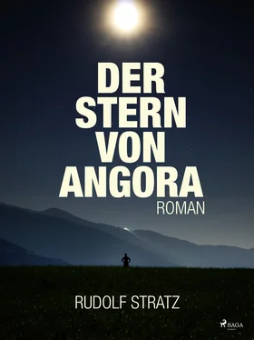 Rudolf Stratz Der Stern von Angora обложка книги