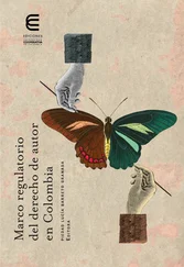 Piedad Lucía Barreto Granada - Marco regulatorio del derecho de autor en Colombia