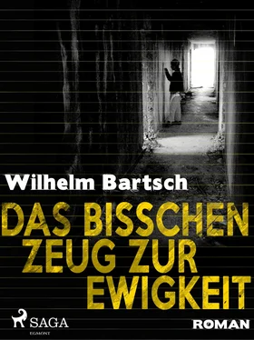 Wilhelm Bartsch Das bisschen Zeug zur Ewigkeit обложка книги