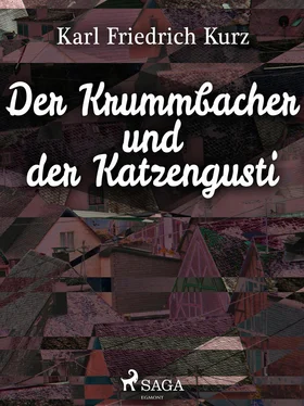 Karl Friedrich Kurz Der Krummbacher und der Katzengusti обложка книги