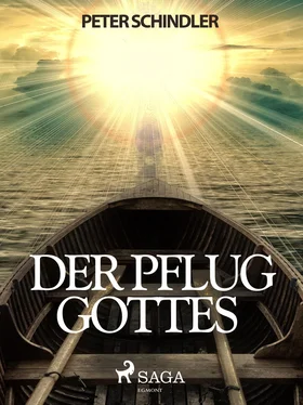 Peter Schindler Der Pflug Gottes обложка книги