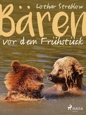 Lothar Streblow Bären vor dem Frühstück - Erzählungen обложка книги