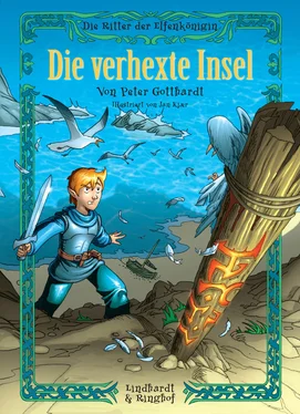 Peter Gotthardt Die Ritter der Elfenkönigin 2: Die verhexte Insel обложка книги