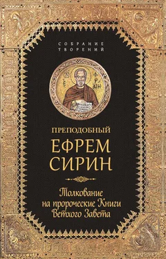 Ефрем Сирин Собрание творений. Толкование на пророческие Книги Ветхого Завета обложка книги