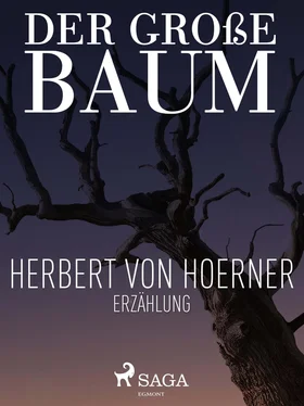 Herbert von Hoerner Der große Baum обложка книги