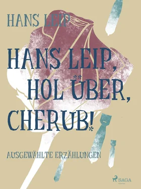 Hans Leip Hol über, Cherub обложка книги