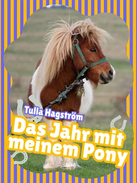 Torbjörg Hagström Das Jahr mit meinem Pony обложка книги