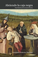 Leonardo Palacios Sánchez - Abriendo la caja negra